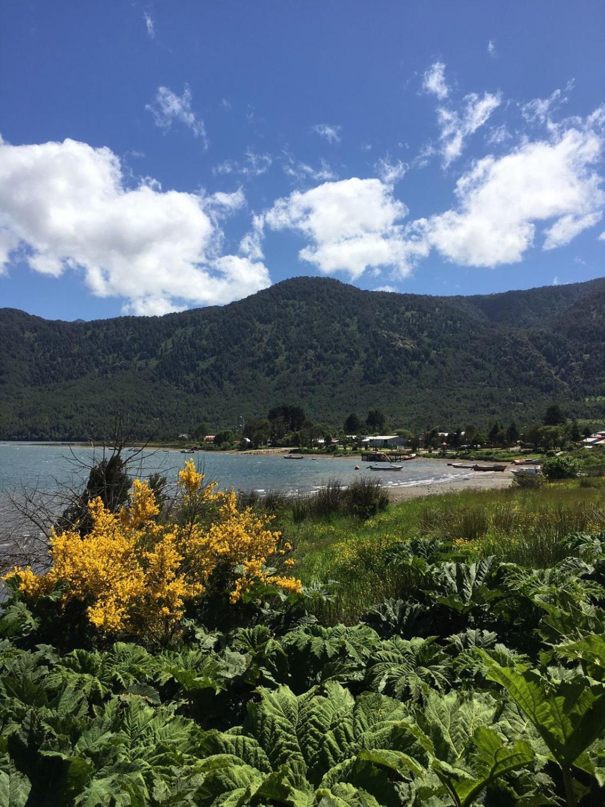 Cabanas Ruepue Puyuhuapi Экстерьер фото